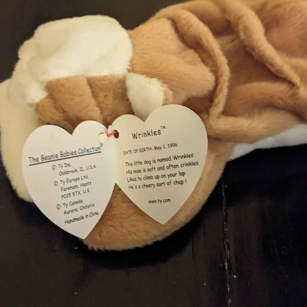 Wrinkles TY Beanie Baby - Picture 2 of 2